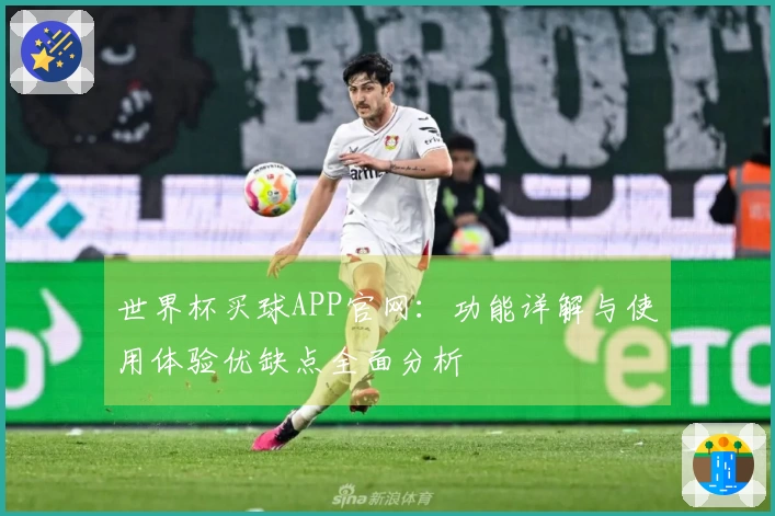 世界杯买球APP官网：功能详解与使用体验优缺点全面分析