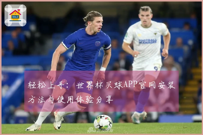 轻松上手：世界杯买球APP官网安装方法与使用体验分享