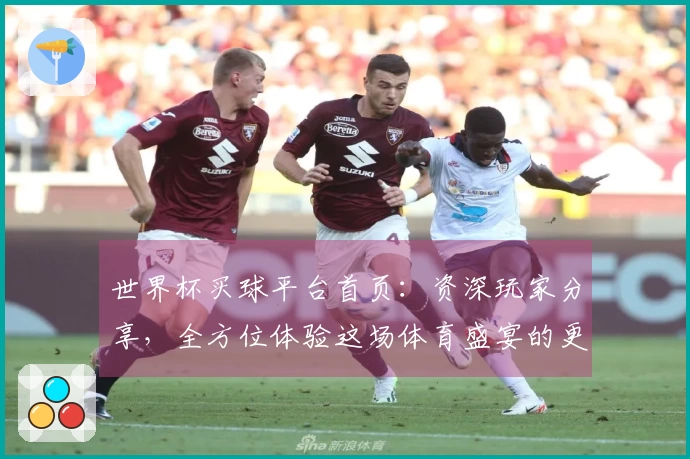 世界杯买球平台首页：资深玩家分享，全方位体验这场体育盛宴的更多精彩与乐趣