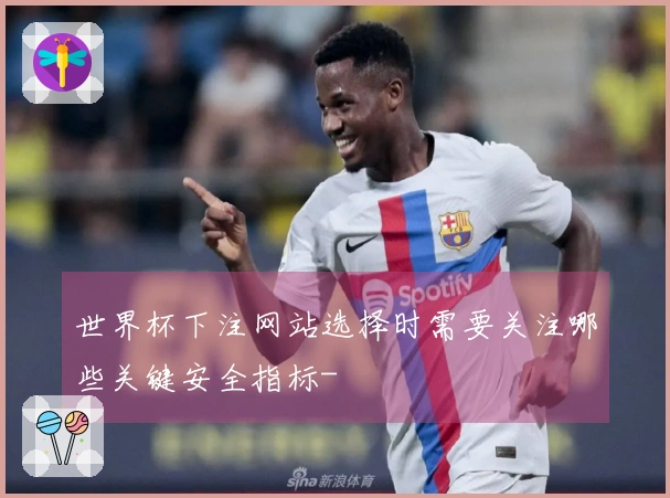 世界杯下注网站选择时需要关注哪些关键安全指标-