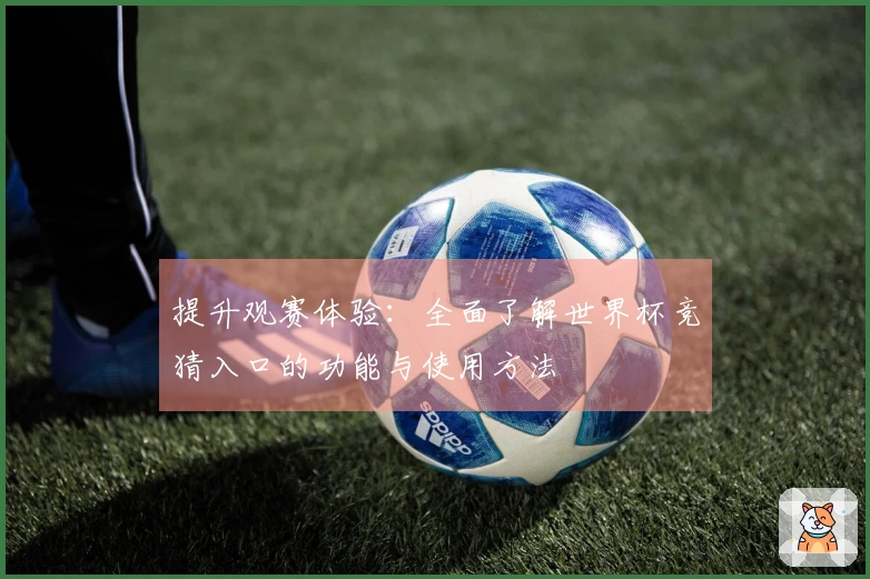 提升观赛体验：全面了解世界杯竞猜入口的功能与使用方法