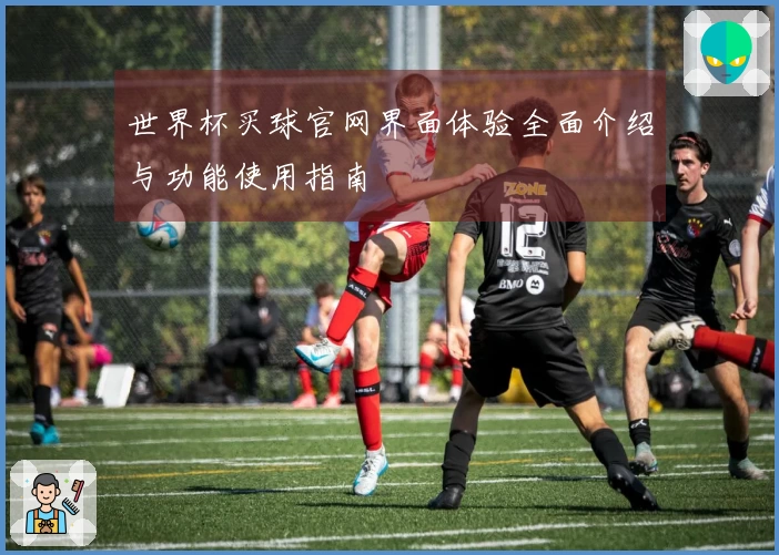 世界杯买球官网界面体验全面介绍与功能使用指南
