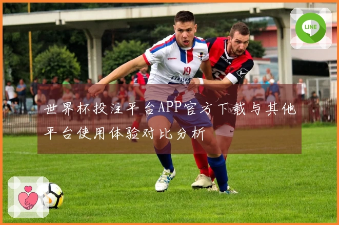 世界杯投注平台APP官方下载与其他平台使用体验对比分析